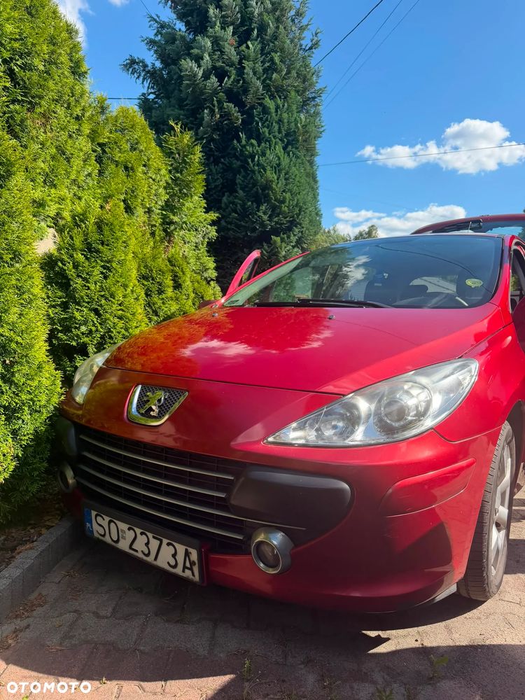Peugeot 307 1.6 HDI Oxygo - 28