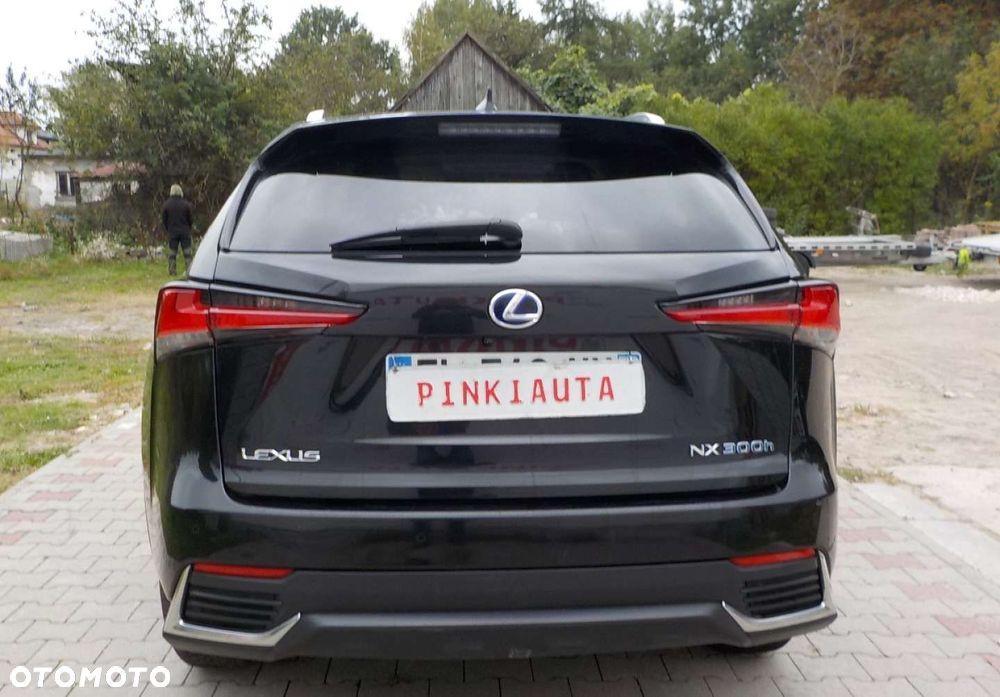 Lexus NX - 14