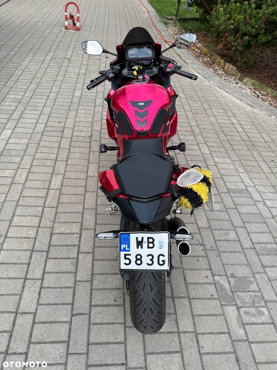 Honda CBR - 6