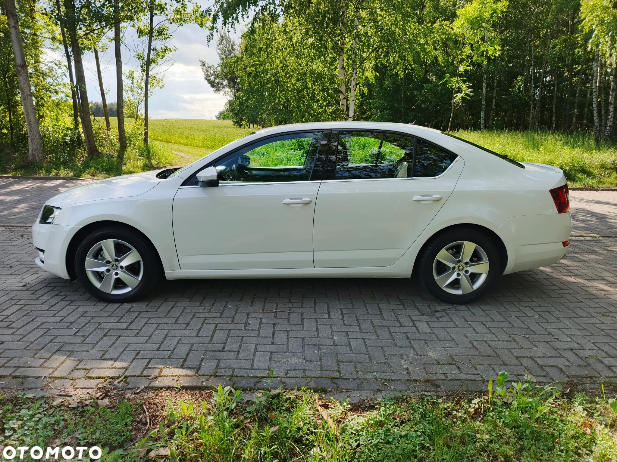 Skoda Octavia 1.6 TDI Greenline - 9