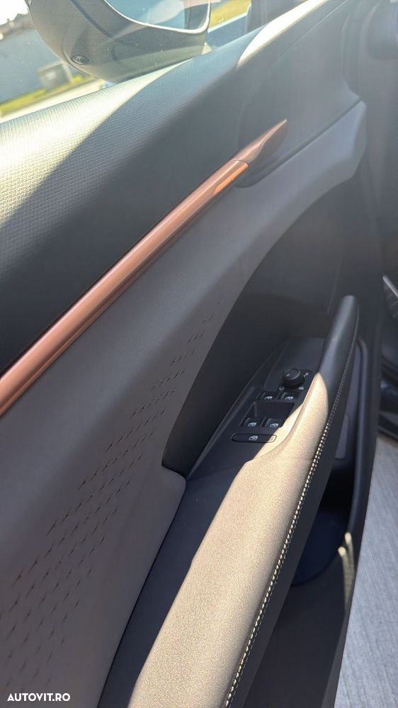 Cupra Terramar 1.5 eTSI DSG Tribe Edition - 11