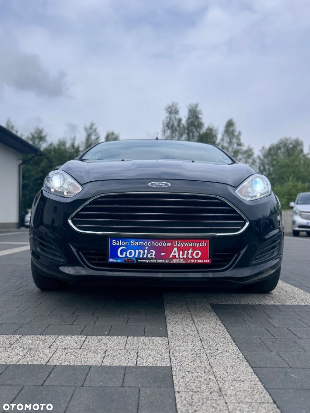 Ford Fiesta - 10