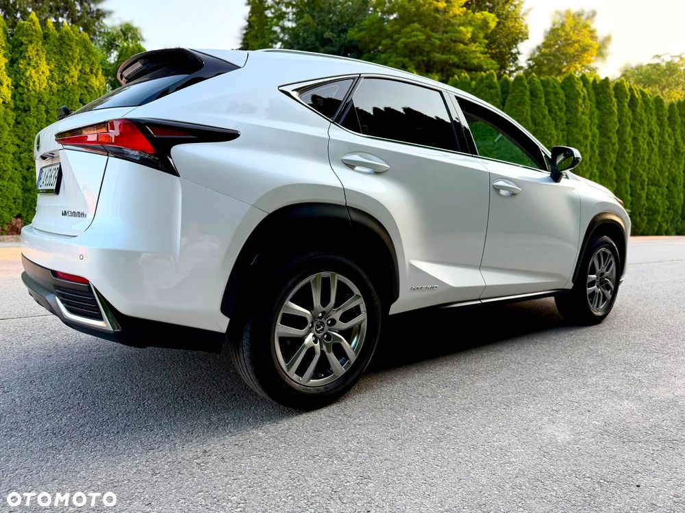 Lexus NX 300h Business Edition AWD - 15