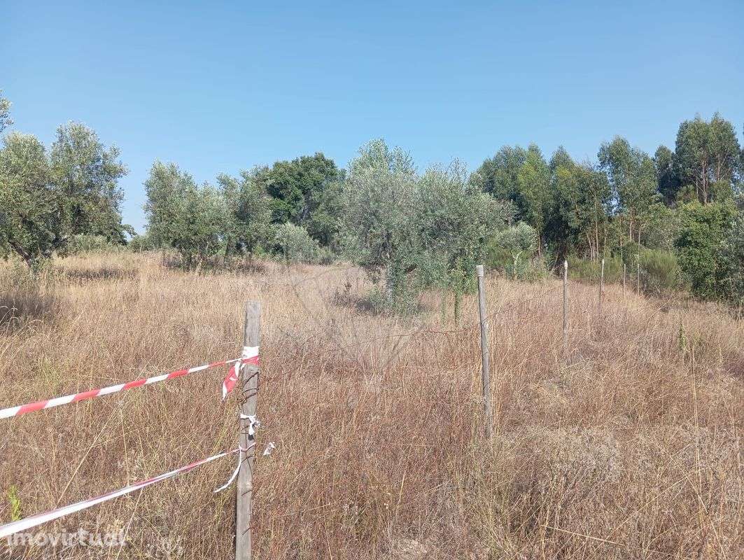 Terreno  para venda - Grande imagem: 2/6