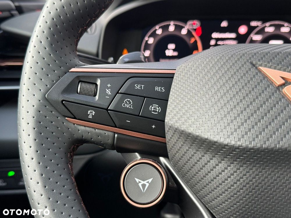 Cupra Terramar - 25
