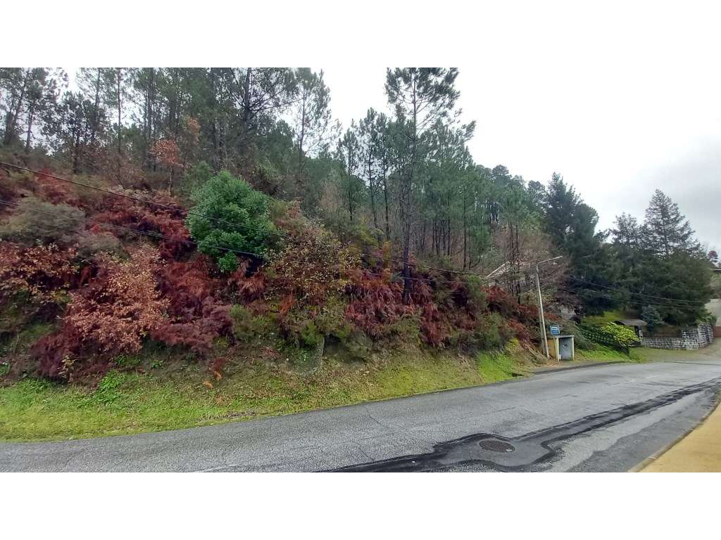 Terreno Urbano - Grande imagem: 2/7