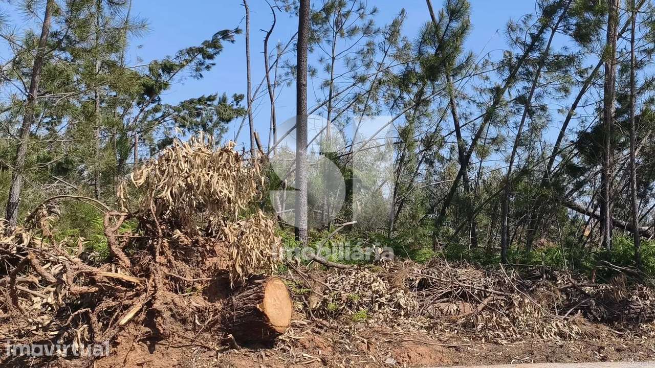 Terreno com acesso direto à EN356 - Grande imagem: 4/10