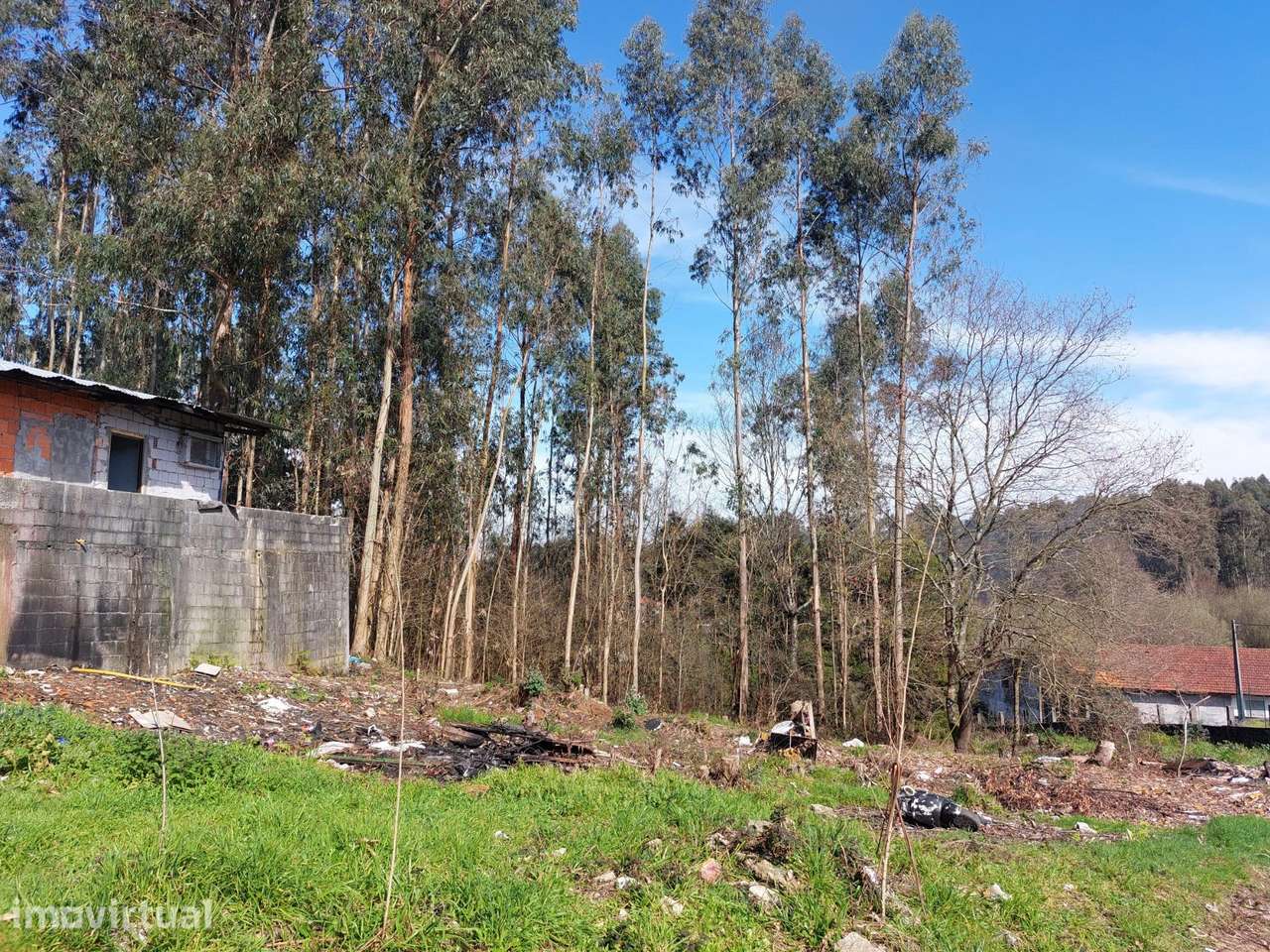 Terreno Rústico com 2.700 m2 em Sanguedo - Grande imagem: 4/15