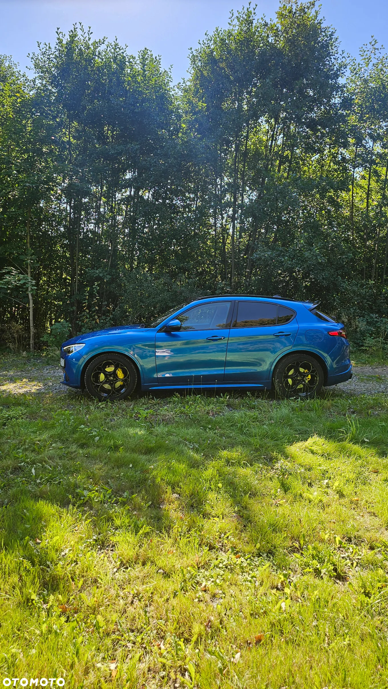 Alfa Romeo Stelvio - 5