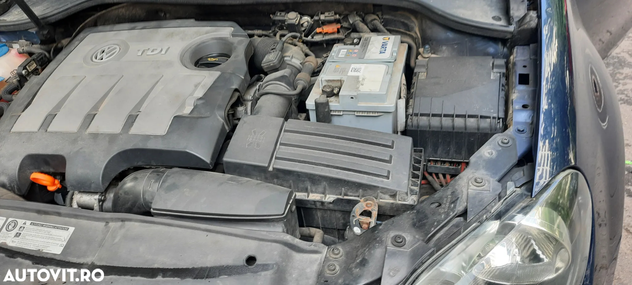 Volkswagen Golf - 15