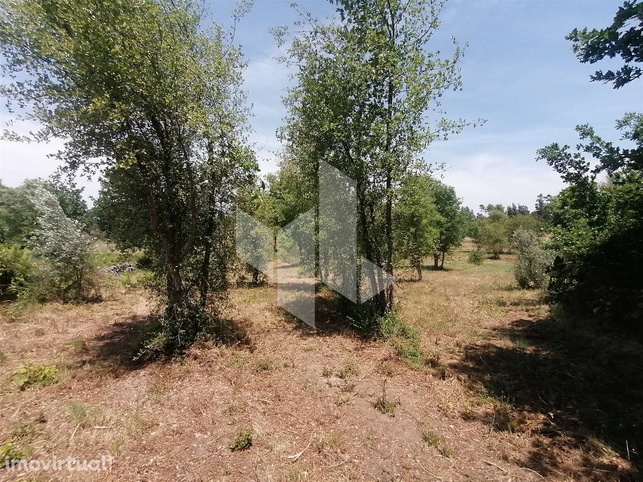 Terreno Rústico  Venda em Lobão da Beira,Tondela - Grande imagem: 2/7