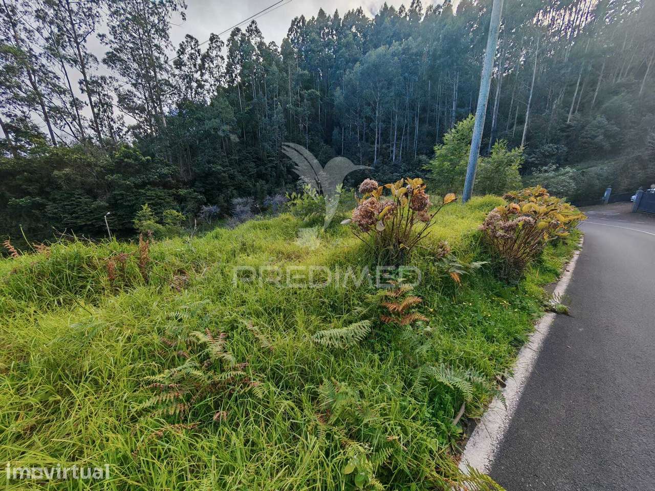 Terreno Rústico com Capacidade Construtiva – 1.740 m² | Ribeira de... - Grande imagem: 2/12