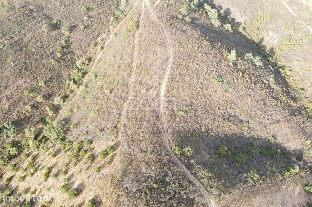 Terreno Rústico em Foz do Ribeiro com 7.920m2, S.B.Messines - Grande imagem: 5/15