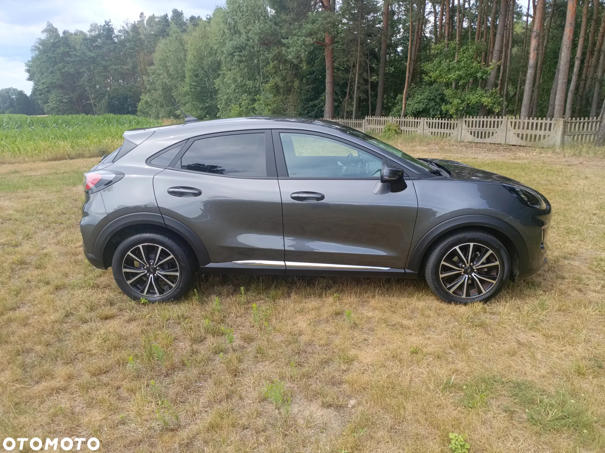 Ford Puma 1.0 EcoBoost Hybrid COOL & CONNECT - 2