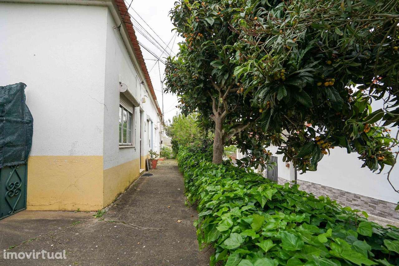 Venda conjunta de 3 casas geminadas mais terreno rústico  em vila More - Grande imagem: 3/13