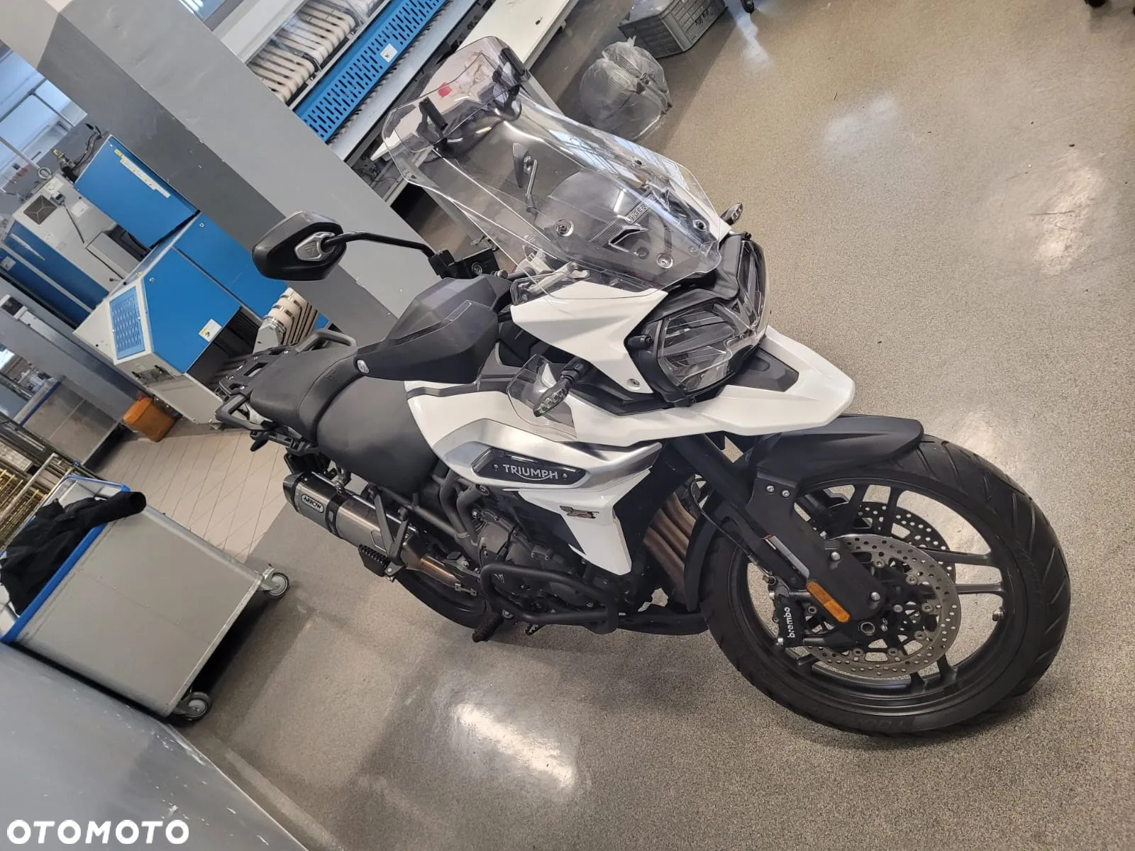 Triumph Tiger - 11