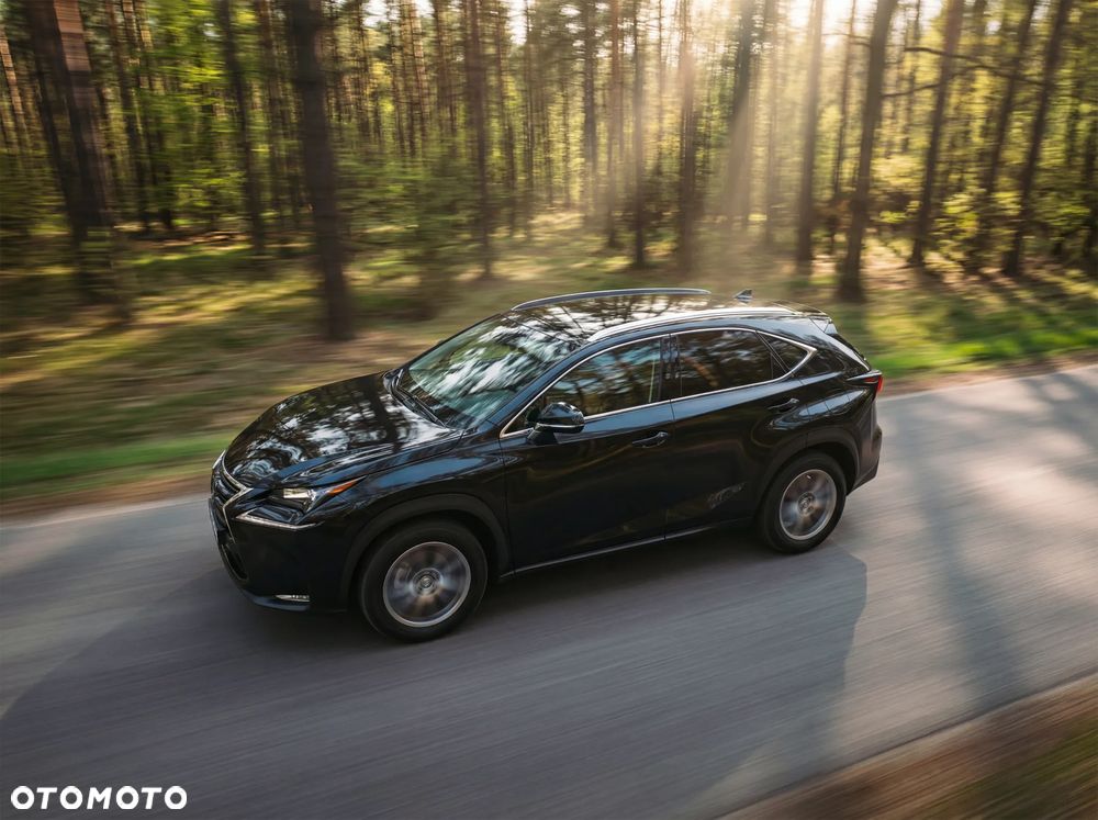 Lexus NX 300 Elegance 2WD - 1