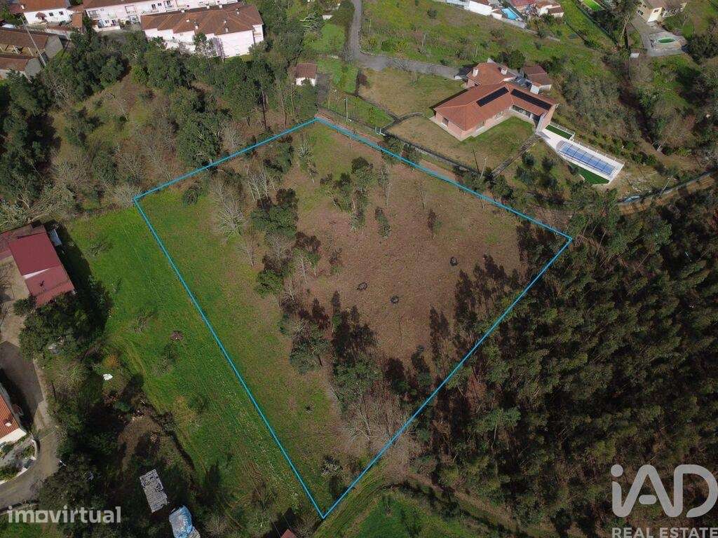 Terreno para construção em Poiares - Grande imagem: 2/40