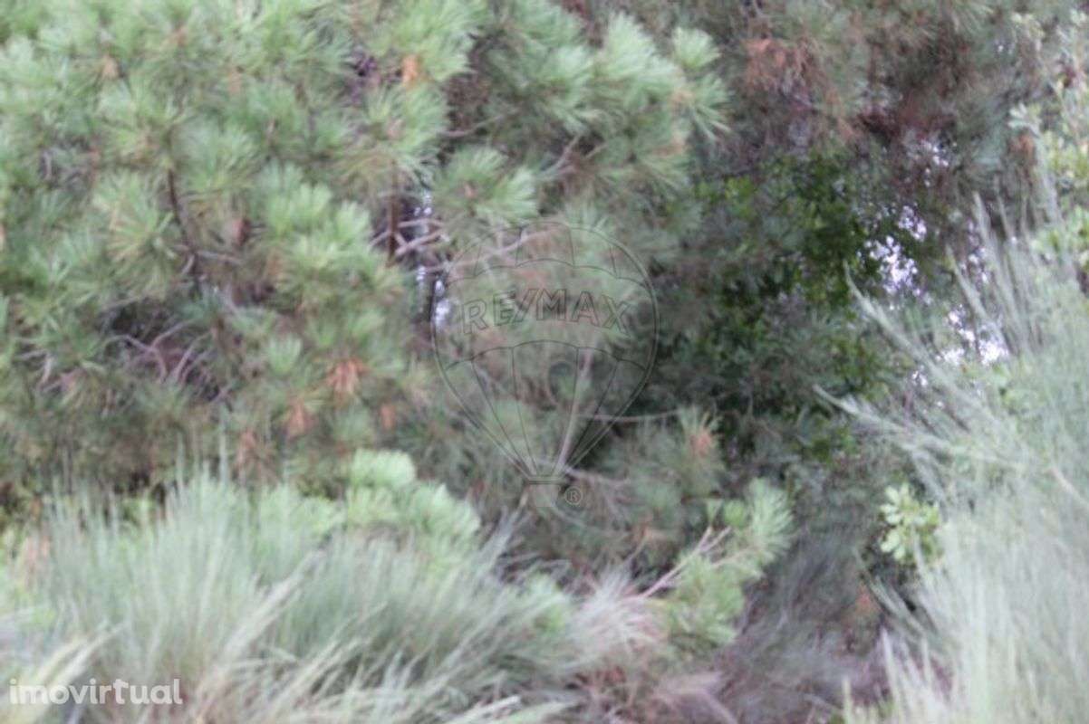 Terreno  para venda - Grande imagem: 2/28