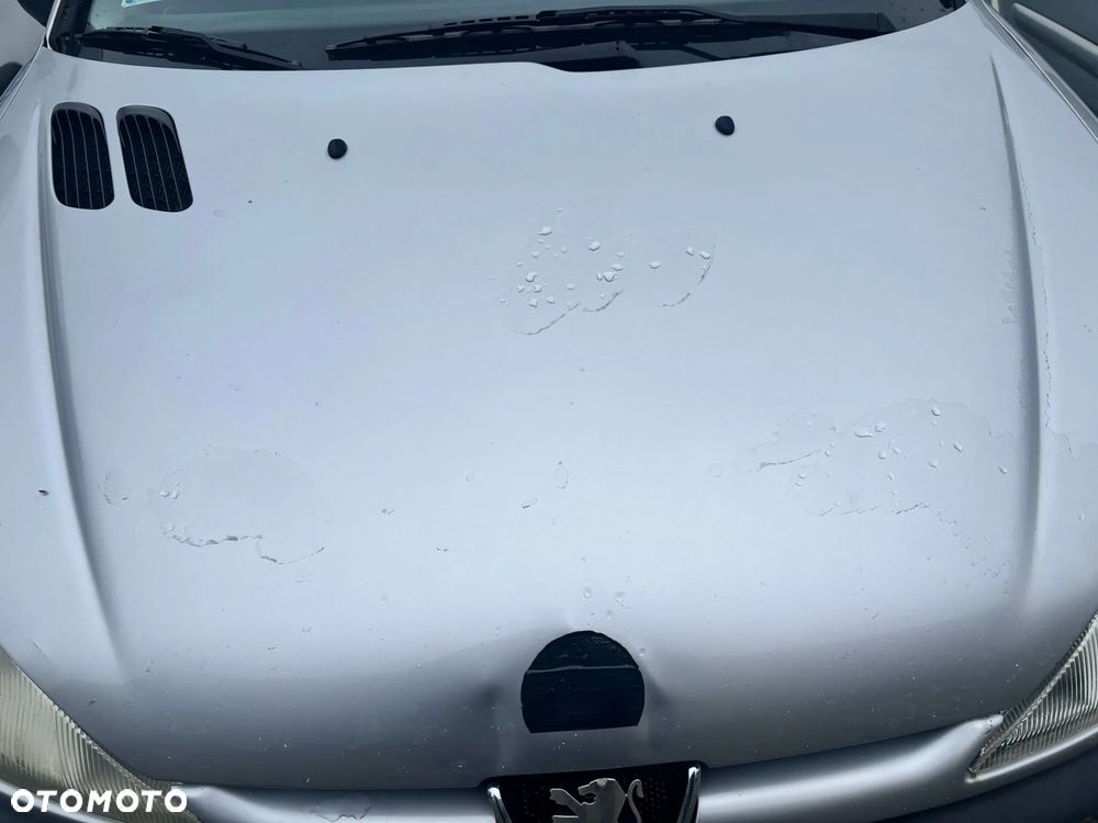 Peugeot 206 - 9