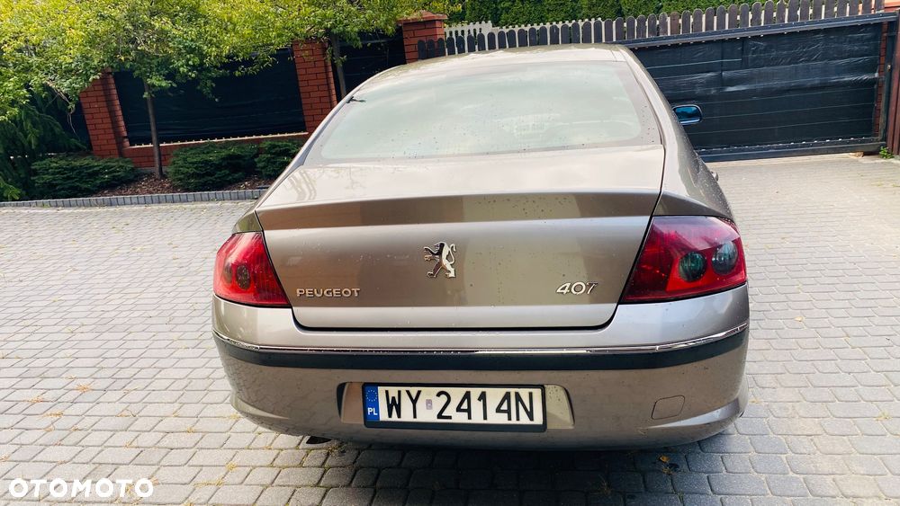 Peugeot 407 - 8