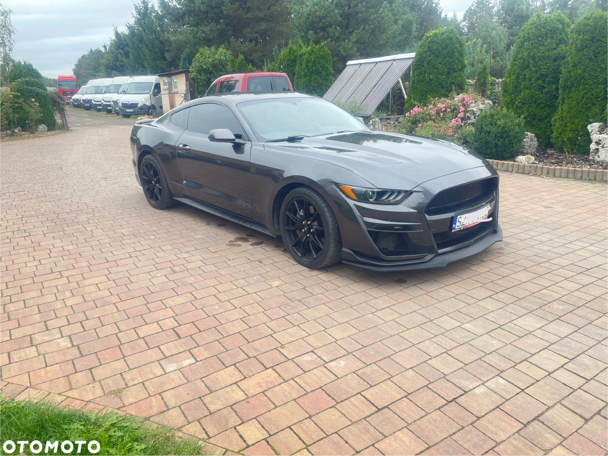 Ford Mustang 5.0 V8 GT - 1