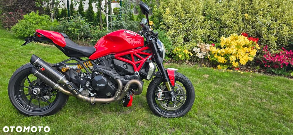 Ducati Monster - 10