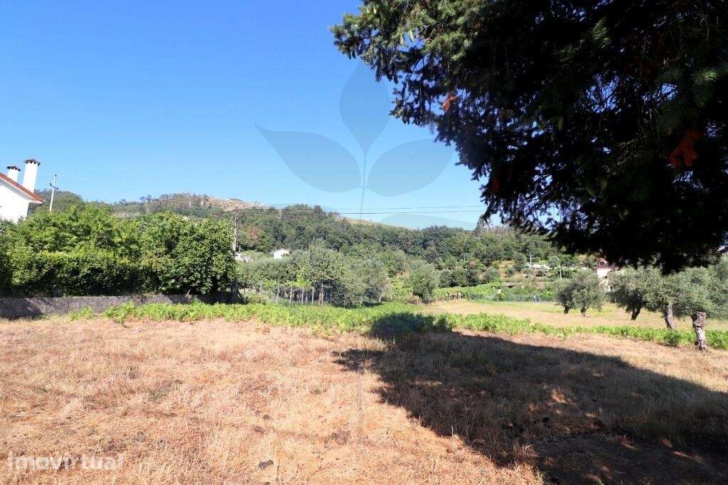 Terreno p/construção  ANAIS - Ponte de Lima - Grande imagem: 3/13