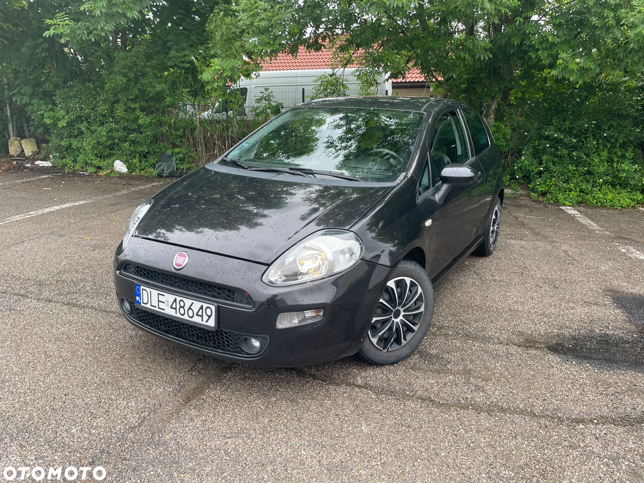 Fiat Punto - 4