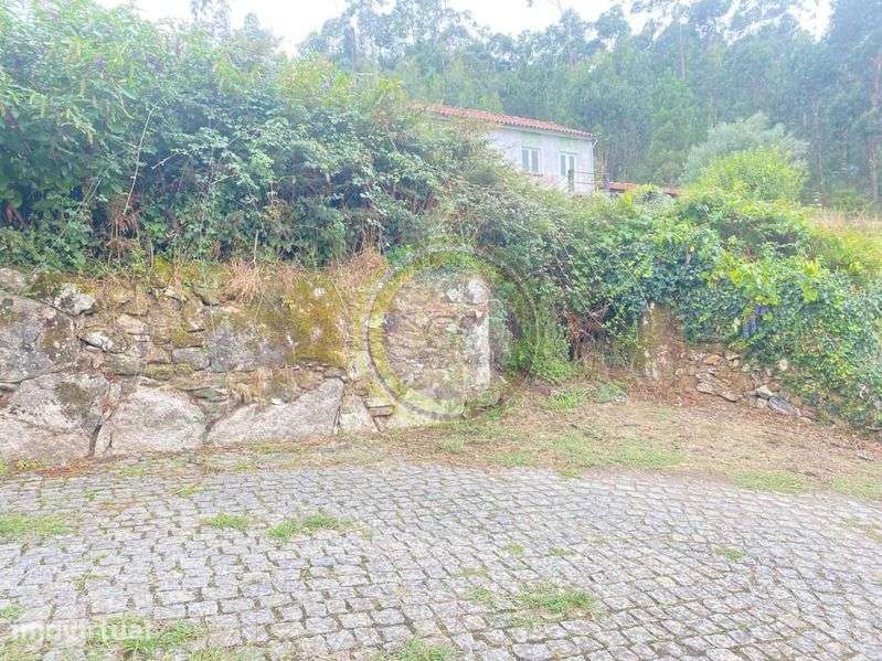 Moradia para Restauro, em Tregosa, Barcelos - Grande imagem: 3/12