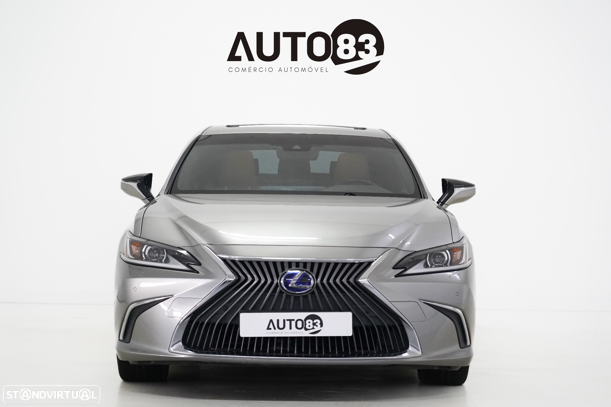 Lexus ES 300h Luxury - 2