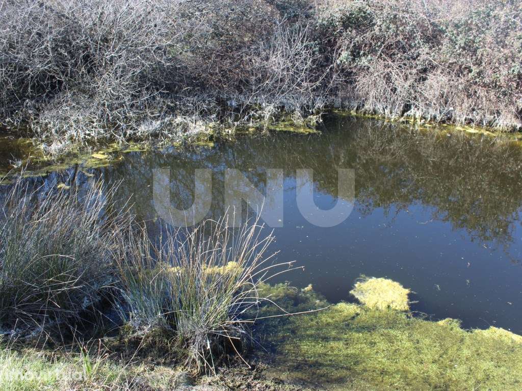 Quinta para Venda em Aldeia do Bispo, Penamacor - Grande imagem: 4/22