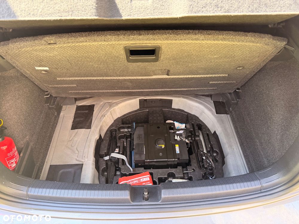 Volkswagen Polo 2.0 TSI OPF GTI - 19