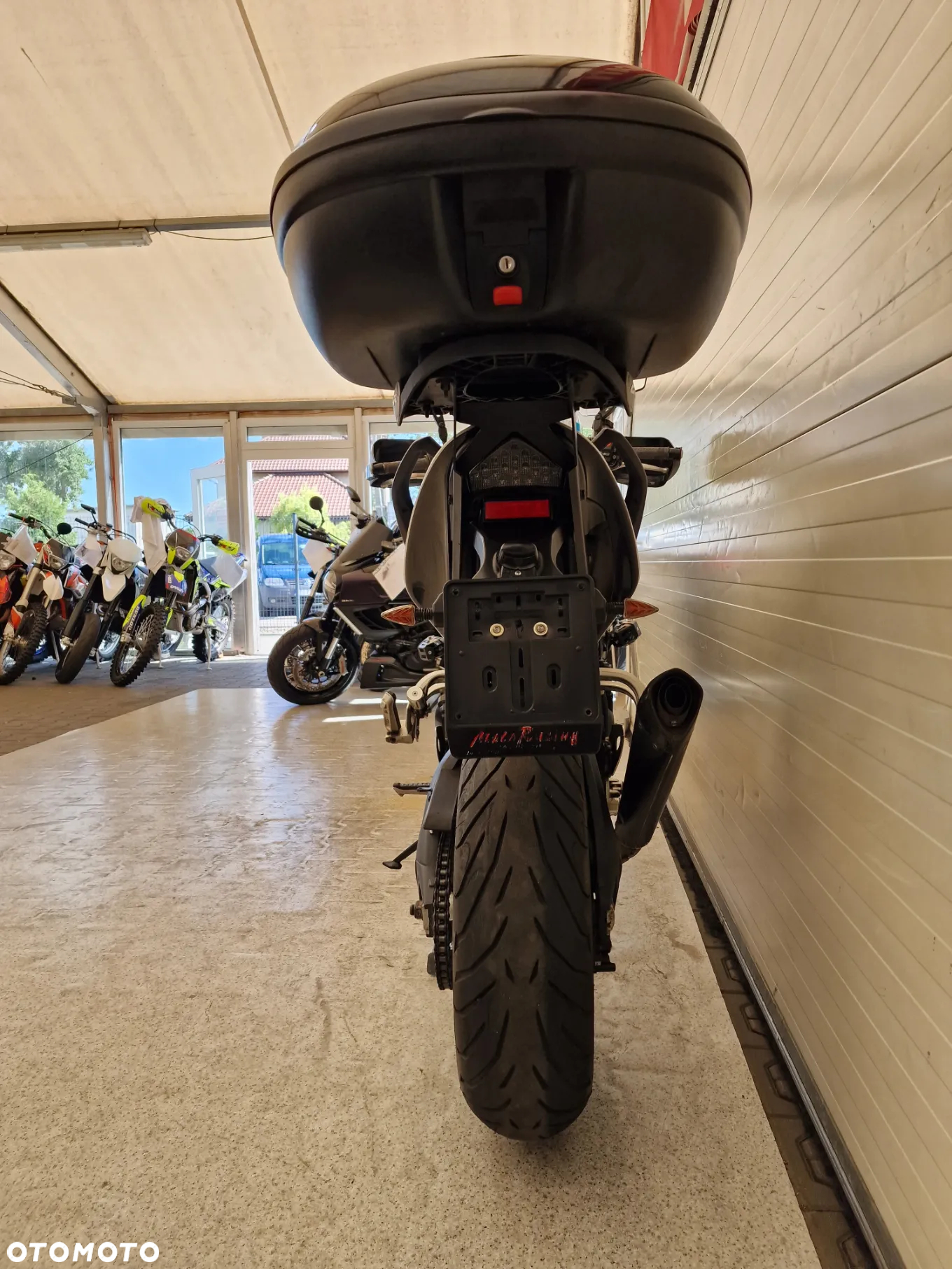 Triumph Tiger - 9