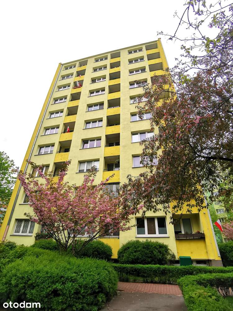 Do wynajęcia 2-POKOJOWE mieszkanie, Al. Stanów Zjednoczonych