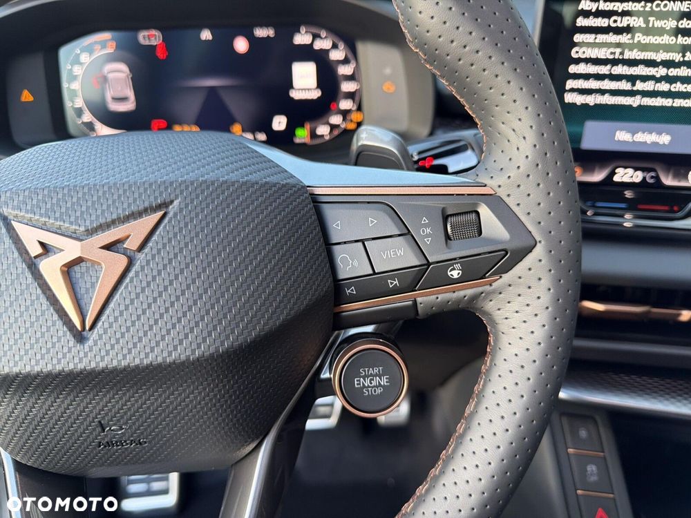 Cupra Terramar - 28