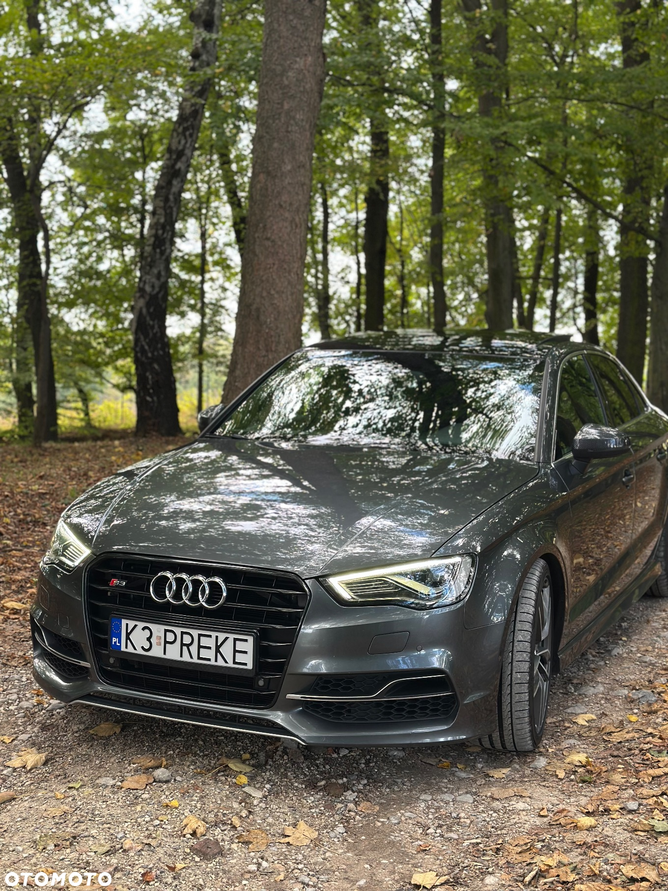 Audi S3 2.0 TFSI Quattro S tronic - 8