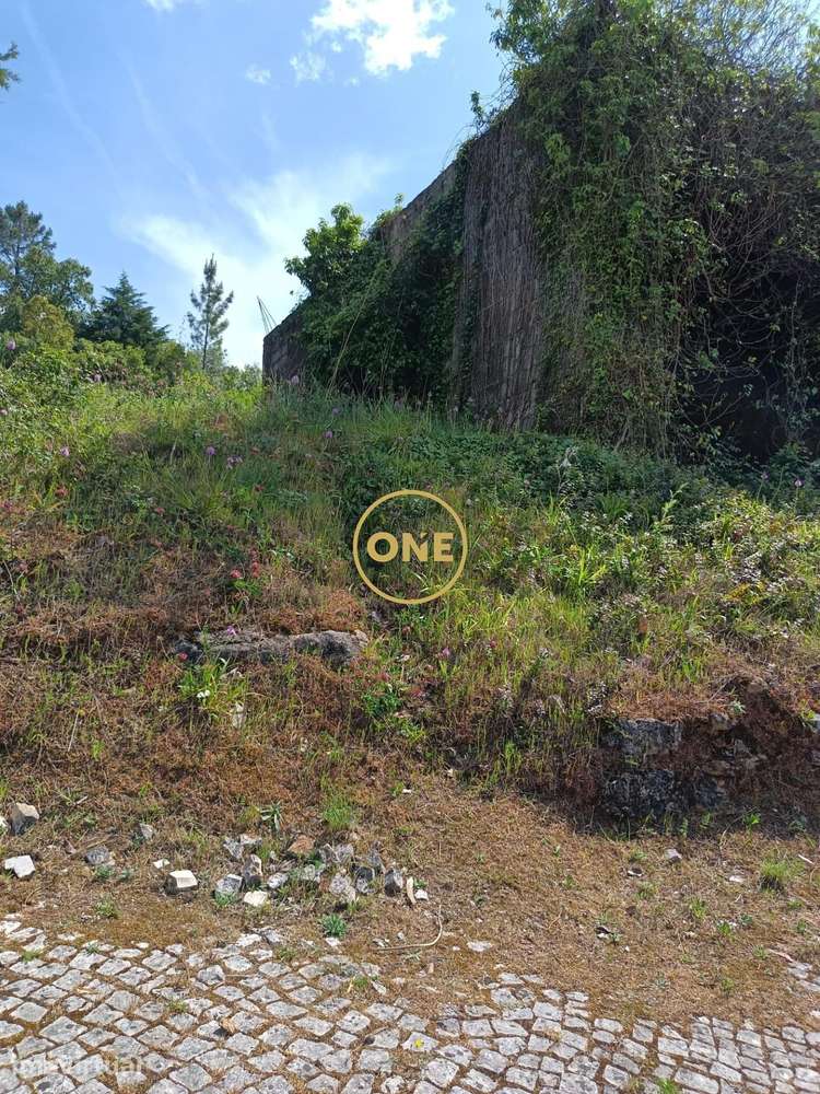 Oportunidade Única! Terreno Amplo para Construção em Coimbra - Grande imagem: 4/14