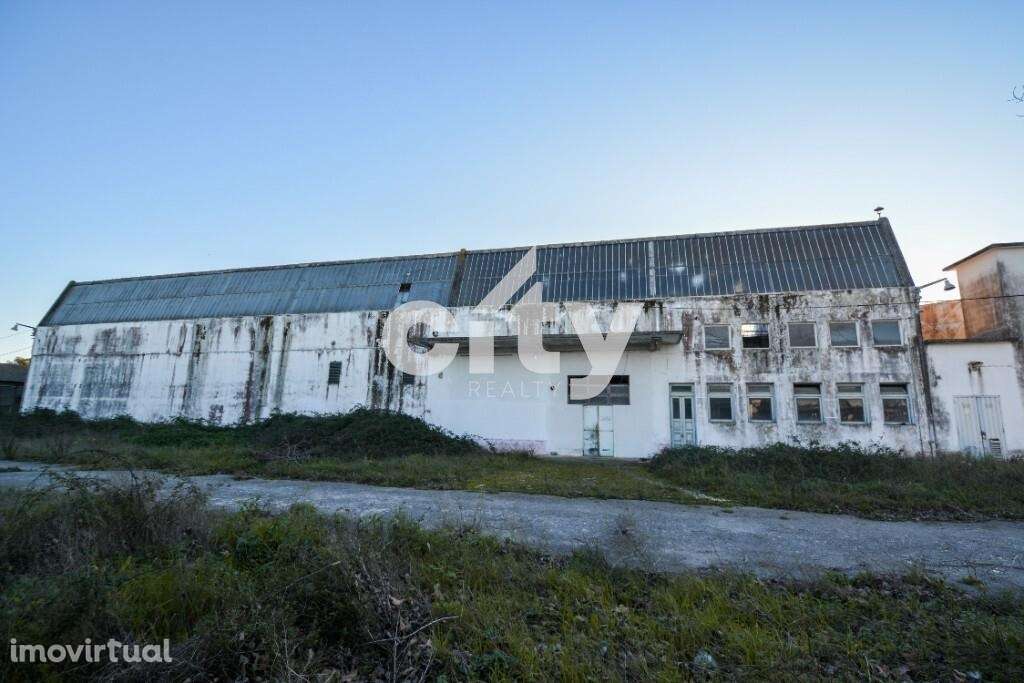 ARMAZÉM PARA RECUPERAR NO CARTAXO - Grande imagem: 2/27