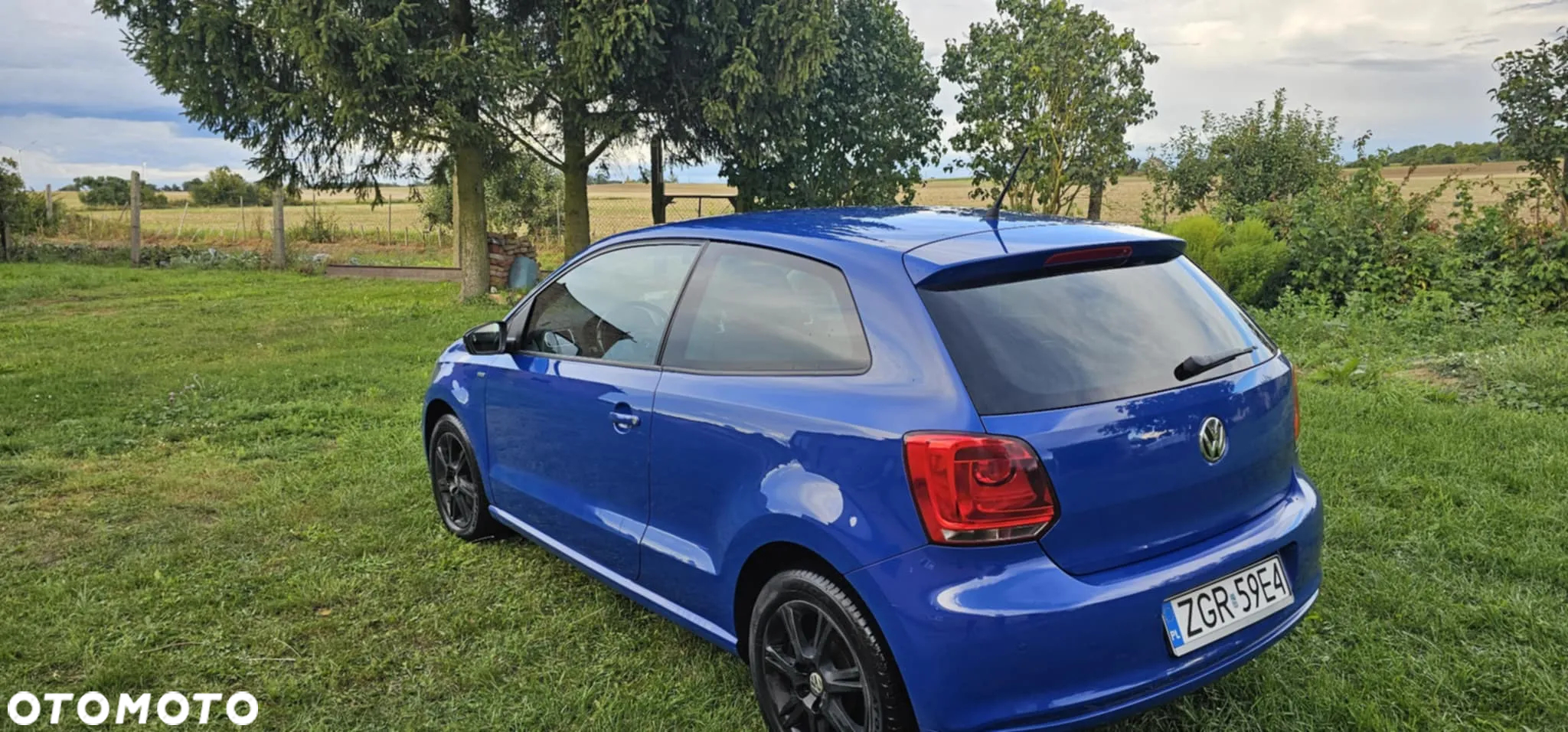 Volkswagen Polo - 2