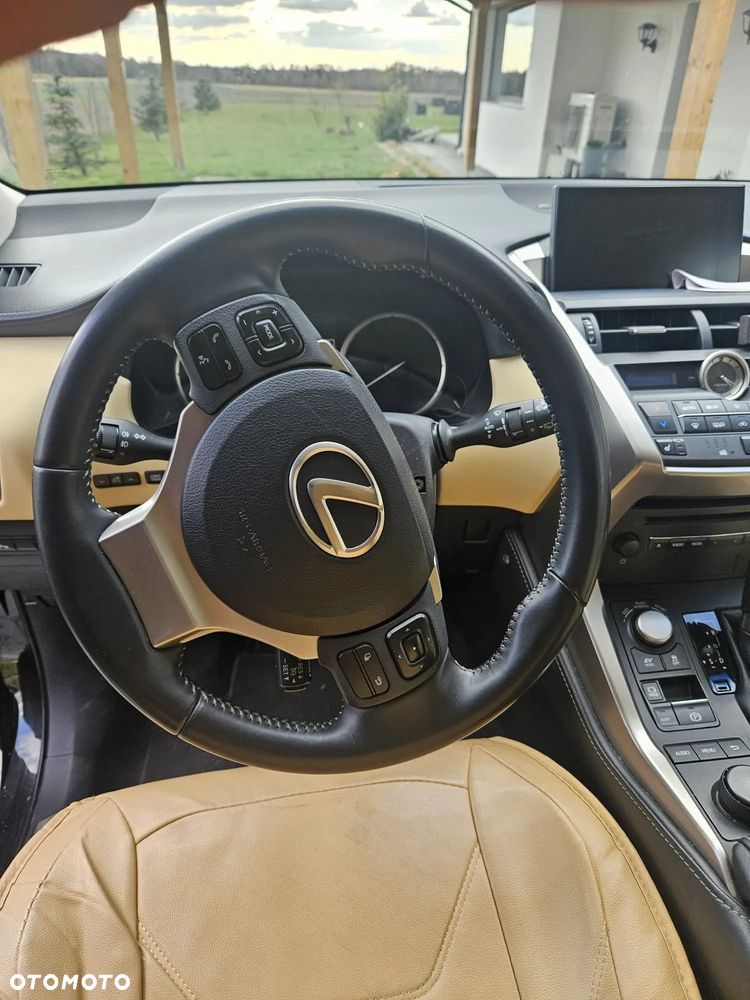 Lexus NX - 13