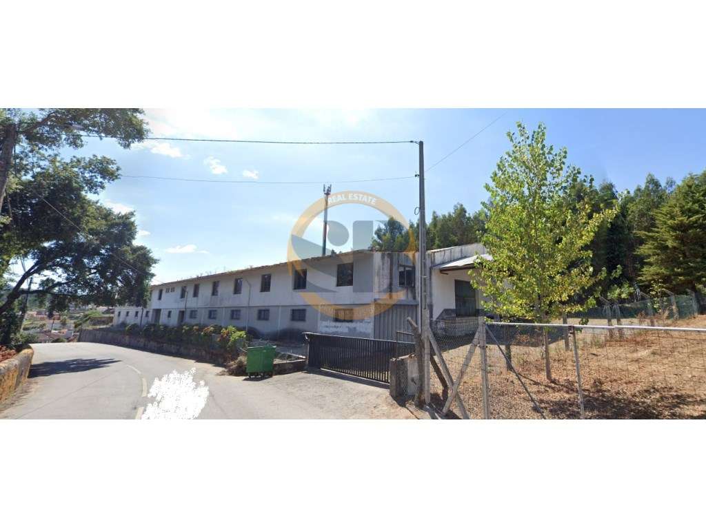 Armazém Macieira de Cambra Vale de Cambra - Grande imagem: 3/6