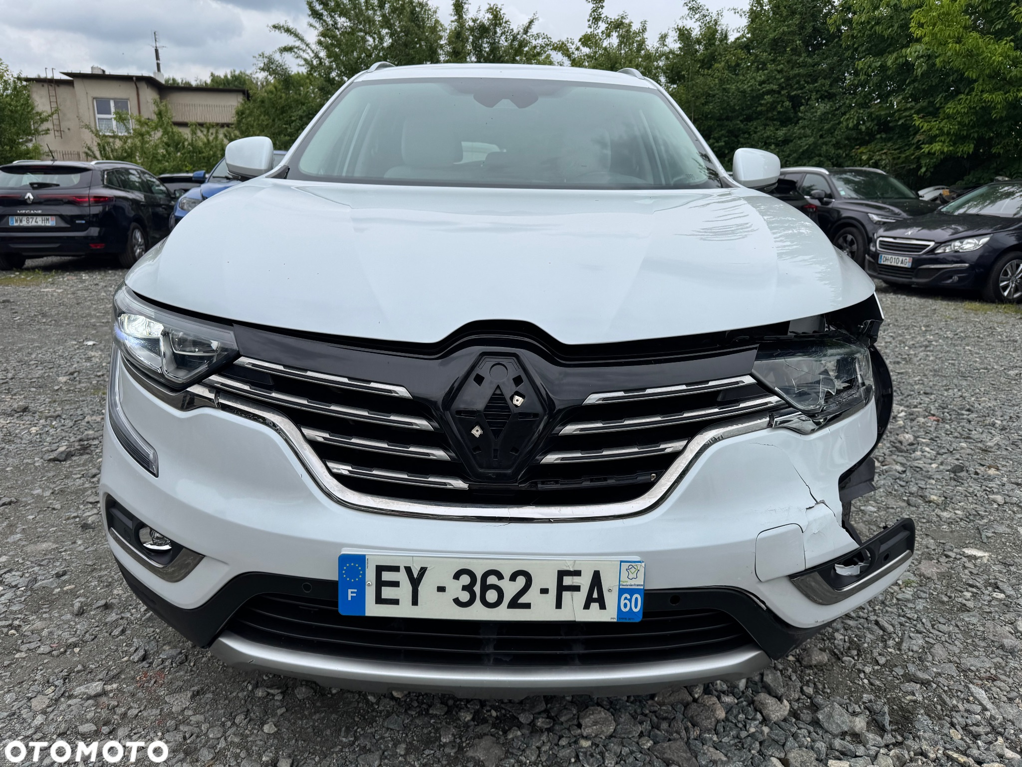 Renault Koleos 1.6 dCi Intens - 30