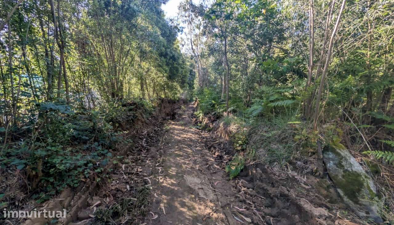 Venda de Terreno com 3300 m2, Modivas, Vila do Conde - Grande imagem: 5/12