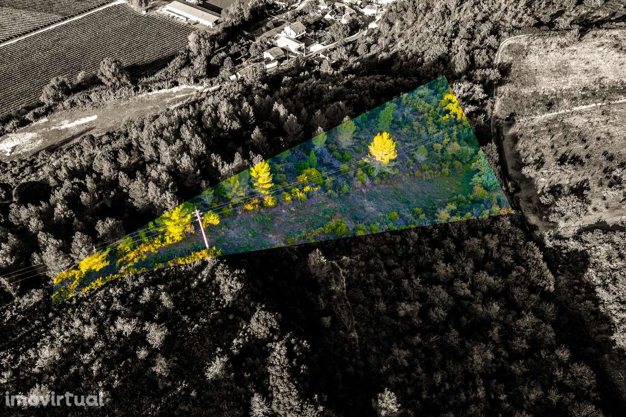 TERRENO RÚSTICO | 7.760 M2 | MECA | ALENQUER - Grande imagem: 2/5