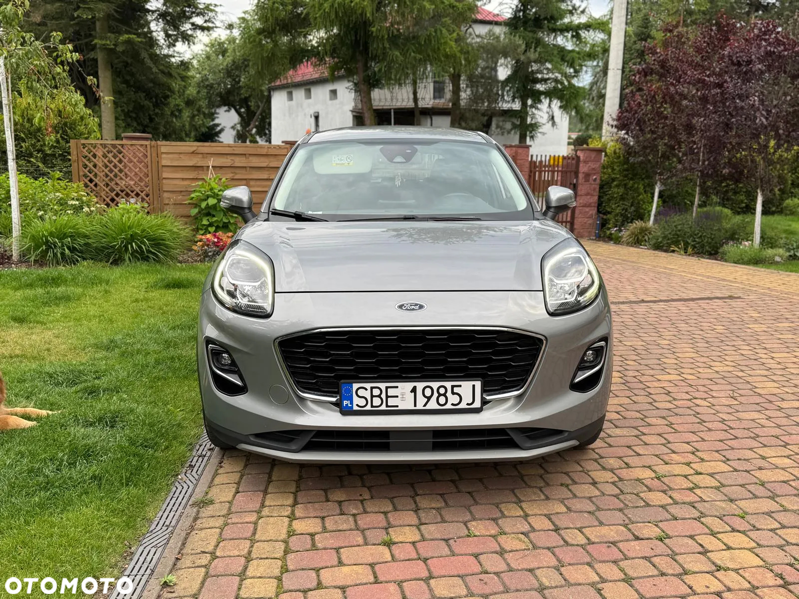 Ford Puma 1.0 EcoBoost mHEV Titanium - 4