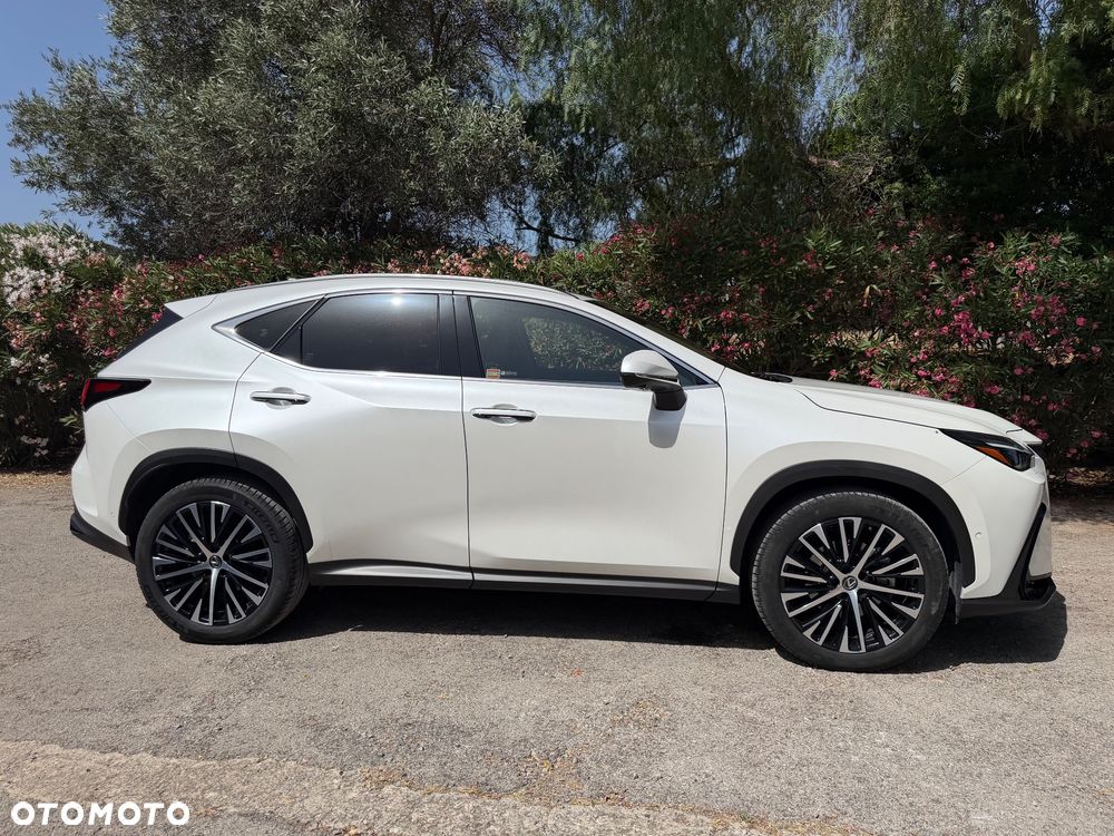Lexus NX 350h Omotenashi AWD - 1