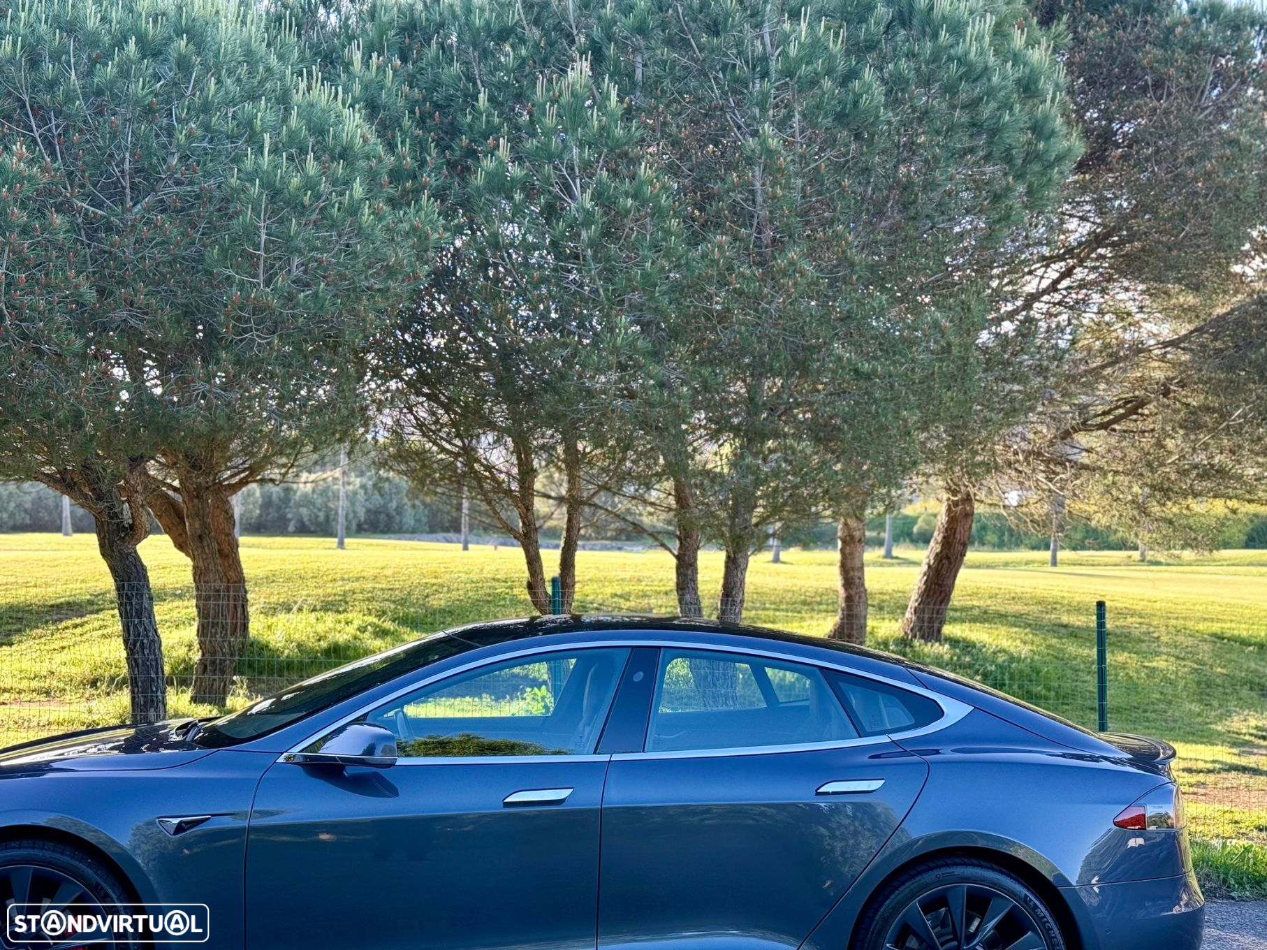Tesla Model S Performance Ludicrous AWD - 19
