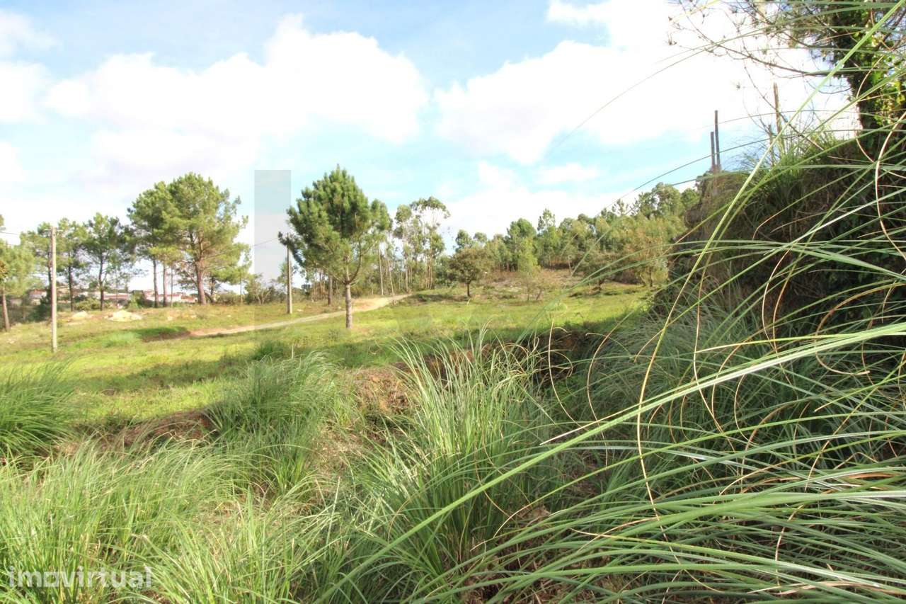 Terreno com 3000m2 URBANO - Grande imagem: 2/11