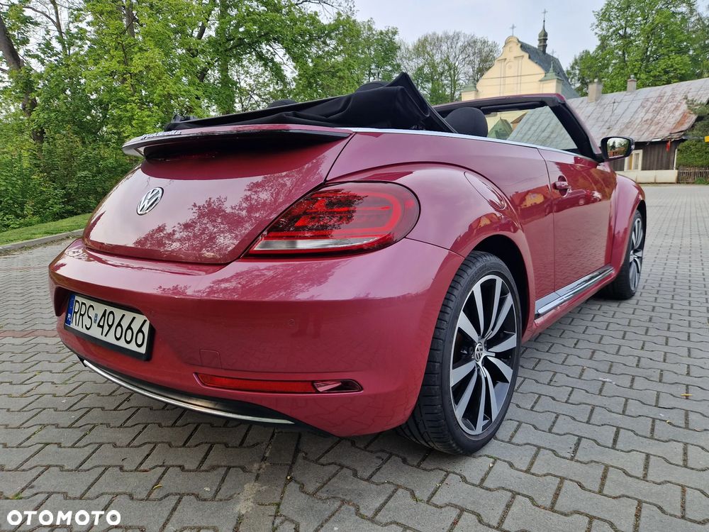 Volkswagen Beetle - 6